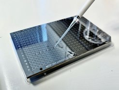 The preparation of a sample plate for ZooMS analysis in LRF MALDI-TOF.