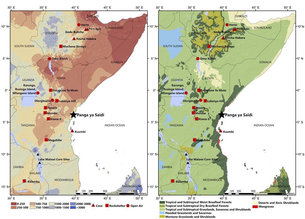 Location of Panga Ya Saidi in relation to precipitation and vegetation boundaries, and other important Middle-Late Pleistocene sites, in eastern Africa.