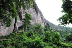 Die Höhle Fa Hien mit Blick auf den Regenwald