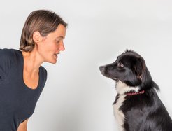Hunden kommunizieren mittels Gesichtsausdrücken und Körpersprache mit Artgenossen und Menschen.