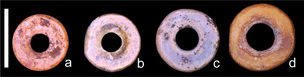 Archaeological ostrich eggshell beads from southern Africa (a,b) and eastern Africa (c,d).