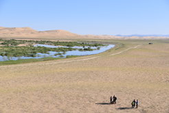 Surveys for archaeological materials near the lake Eren Nuur, which is located inside the dunes of Mongol Els.