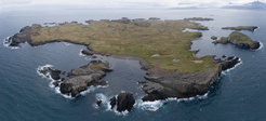 Papey is one of the LOMVIA study sites in Iceland.