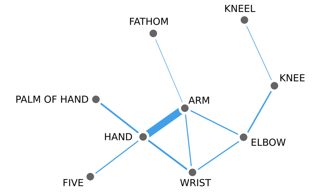 Colexification network centered on the concepts of 