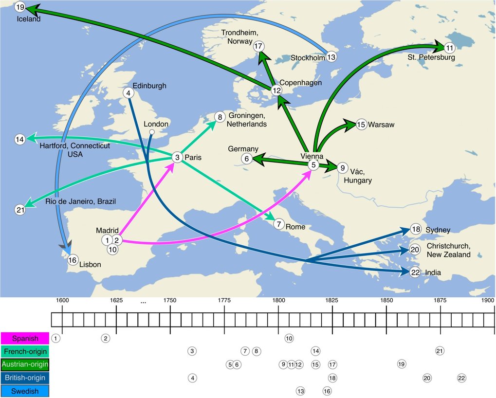 Dispersal scenarios for the five major lineages.
