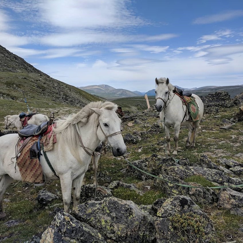How horse riding changed the ancient economies of eastern Eurasia