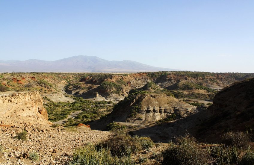 Interpretation of past hominin and animal mobility over large-scale distances near Oldupai Gorge is possible, shows new study Interpretation of past hominin and animal mobility over large-scale distances near Oldupai Gorge is possible, shows new study