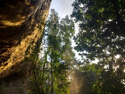 Kitulgala Beli-lena rockshelter in Sri Lanka’s Wet Zone rainforest region