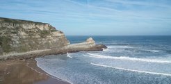 Langre Beach and intertidal areas in Cantabria (Northern Spain) where the collection programme was conducted.
.