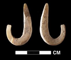 Shell fish hook recovered from the site of Lene Hara dating to 11,000 years ago. An earlier, less complete example was recovered from Asitau Kuru, indicating an early marine specialization for humans arriving on these islands.