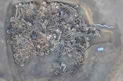 Human remains in house foundation F40 of the Haminmangha site