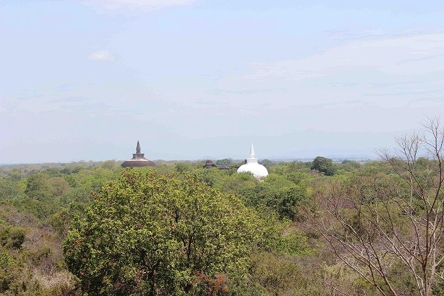 Ancient Buddhist buildings, which can be seen above the treetops of the tropical forest near Polonnaruwa on Sri Lanka.