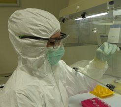 Susanna Sabin im Reinraumlabor des Max-Planck-Instituts für Menschheitsgeschichte