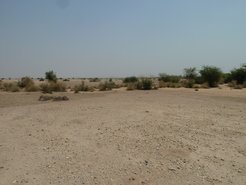 The flat, desert landscape around the study site at Nal Quarry