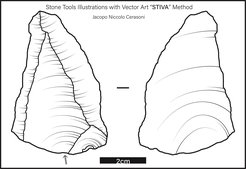 Finished illustration produced using the STIVA protocol