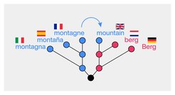 Lexikalische Entlehnung ist weit verbreitet und kann sogar jene Wörter betreffen, die in unserem täglichen Leben eine wichtige Rolle spielen. Das englische Wort "mountain" stammt ursprünglich aus dem Altfranzösischen.