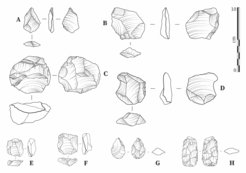 Lithika aus Laminia (A-D) und Saxomununya (E-H). (A) nicht retuschierte Flocke; (B) bifazial retuschierte Flocke; (C) Levallois-Kern, der einen Stufenbruch zeigt; (D) seitlich retuschierte Flocke/Schabe; (E, F) Levallois-Kerne; (G) bifaziale Blattspitze; (H) bifaziale Blattspitze.