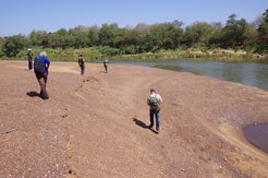 Das Forschungsteam bei einer Feldbegehung entlang des Gambia-Flusses, Senegal.