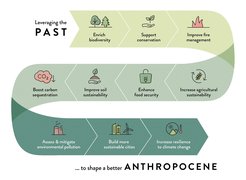 Information from disciplines like archaeology, history, historical ecology and palaeoecology has an important role to play in shaping sustainable solutions to the challenges of the Anthropocene.