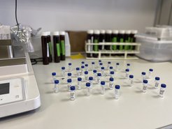 Sample vials preparation for compound specific GC irMS analysis