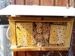 Bee hotel from 2020