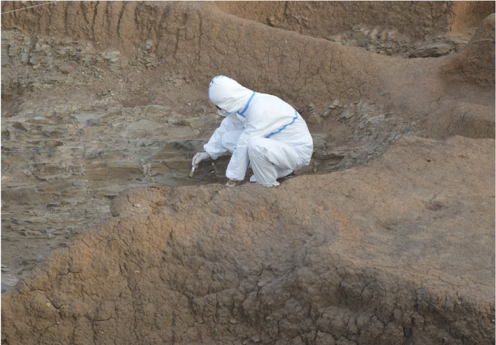 Geneticist Ning Chao at work at the Neolithic Banlashan site in Liaoning