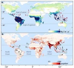 Tropical landscapes capture and store large quantities of carbon (A) and are some of the most populated places on earth (B). This, alongside their high biodiversity and ecological service provision, make them central to discussions about the Anthropocene. The numbers on this image show the locations of the case studies included in the Special Feature. Figure draws on data from Cook-Patton et al. (2010) and the Center for International Earth Science Information Network (2018)