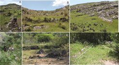 A-C: Cross channel structures in El Taco. D-F: Cross channel structures in Oyola. 5F, lines indicate the densely covered walls.