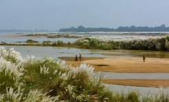 Fishermen fishing in the Bengal flood plain.