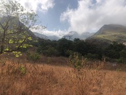 Photo of the interface between open and forested landscapes, or ecotones, that are highlighted as an important feature of human refugia in Africa. Other landscape features, such as altitude, may have also played a role in diversifying ecological resources available within human refugia
