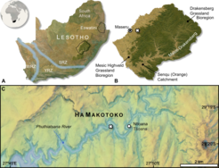 The location of Ha Makotoko in Lesotho within the Mesic Highveld Grassland bioregion (tan area). This bioregion is found mainly in western/northwestern Lesotho and in major river valleys. The Drakensberg Grassland (green area) is the dominant bioregion of high-altitude central and eastern Lesotho. Ha Makotoko and neighboring Ntloana Tšoana rockshelter once overlooked the Phuthiatsana River.
