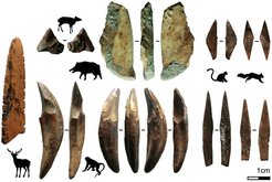 Bone tools and the animals from which they were produced. From Fa-Hien Lena.