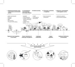 Figure 1: Schematic showing how different methods can feed into understandings of of past human-forest interactions in the tropics and their relevance to earth systems changes