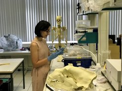 Dr. Maria Antonosyan at the department’s zooarchaeology laboratory analysing faunal remains recovered an excavation in the Southern Caucasus