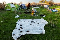 Ausgrabung von subfossilen Knochen ausgestorbener und noch vorhandener Pflanzenfresser (im Vordergrund) am Rand eines Küstenteichs im Südwesten Madagaskars im Jahr 2019.