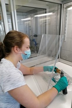 Carli Peters sampling megafauna remains recovered from cave sites in Australia for ZooMS analyses