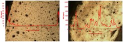 Preservation status of two bones assessed using measurements of trace elements along their profiles