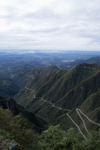 Santa Catarina in southern Brazil. The Atlantic Forest bears the signs of centuries of human impacts - including introduced flora and fauna, changing agricultural regimes, urbanization, and more