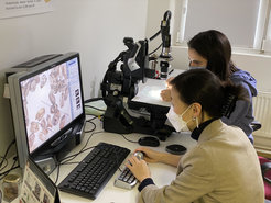 Doctoral researchers Basira Mir Makhamad and Li Tang examining archaeobotanical material at the digital microscope in the laboratory