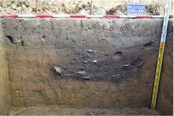 Cross section of a refuse pit from the Yingpu period (Yingpu archaeological site, Taichung City, western Taiwan) dating to around 2000 years before today. The pit contained a rich assemblage of pot sherds, stone tools, and charred plant remains, which provides deep insights into the life of the early farming Yingpu culture.