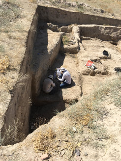 Photo of our local collaborators collecting samples for archaeobotanical research at the site of Afrasiab in Uzbekistan