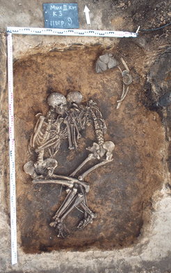 Double burial of 3,800-year-old individuals that were positive for Y. pestis. The kurgan burial was unearthed in the Samara region in Russia and its characteristics are affiliated with the Srubnaya culture of the Late Bronze Age.