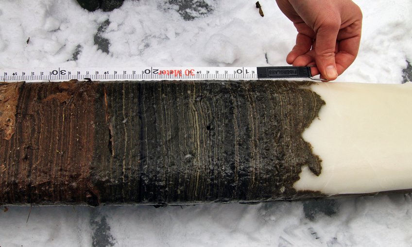 Sediment core lying in the snow with metre stick next to it
