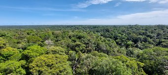 Forested landscape of Amazonia Forested landscape of Amazonia