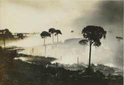 Oxholm, Einar