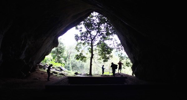 Homo sapiens demonstrates unique tropical forest adaptations