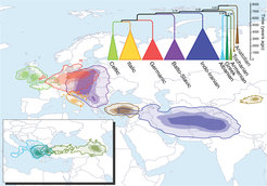 The origin of the Indo-European coincides with the Anatolian hypothesis according to quantitative lexical reconstructions
