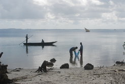 Wet-sieving at the site of Ras Mkumbuu, Pemba Island, Zanzibar, Tanzania. Ras Mkumbuu is a 10th century Swahili trading port. Faunal remains, including those analyzed in this study, were recovered at this site.