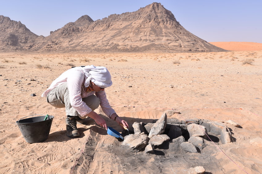 Green Arabia project wins award for archaeological work in Saudi Arabia |  Max Planck Institute of Geoanthropology
