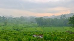 Karstic hills in Punung, Pacitan in Eastern Java. The region has one of the richest records of human settlement in ISEA with more than 135 surveyed archaeological sites.